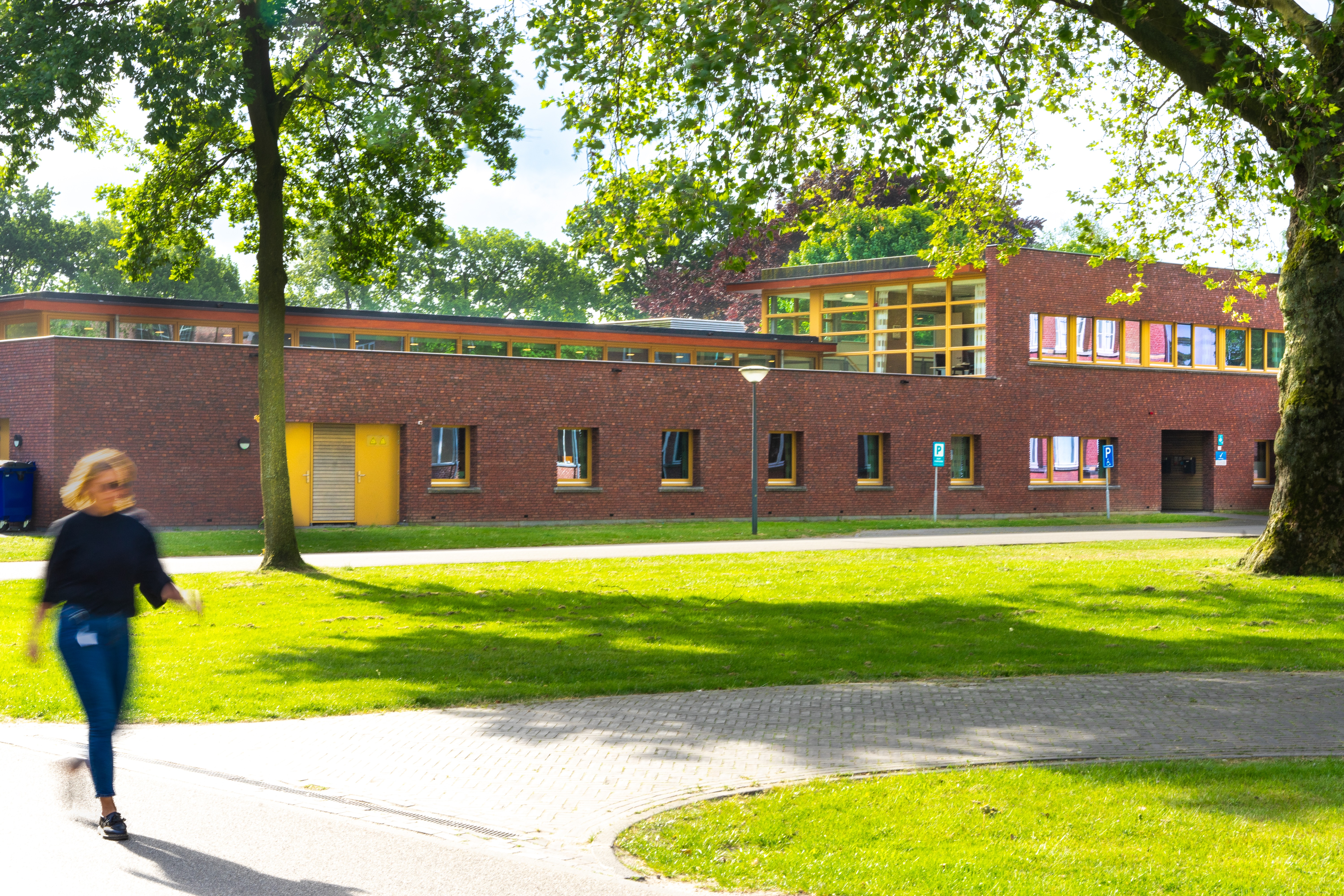 Nederlands zorgmodel Korsakov voorbeeld voor Frankrijk 